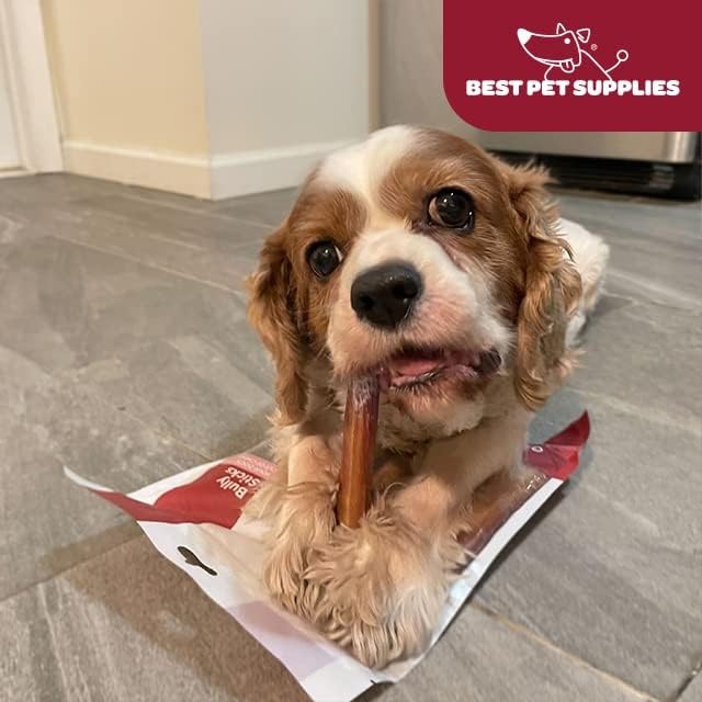image:imageGigaBite Bully Sticks for Dogs All Natural Beef Pizzle Dog Chews Odor amp Rawhide Free Dog Treats Long Lasting High Protein Chews Digestible Dental Dog Treat Sticks Monstrous 6 Pack of 86inch