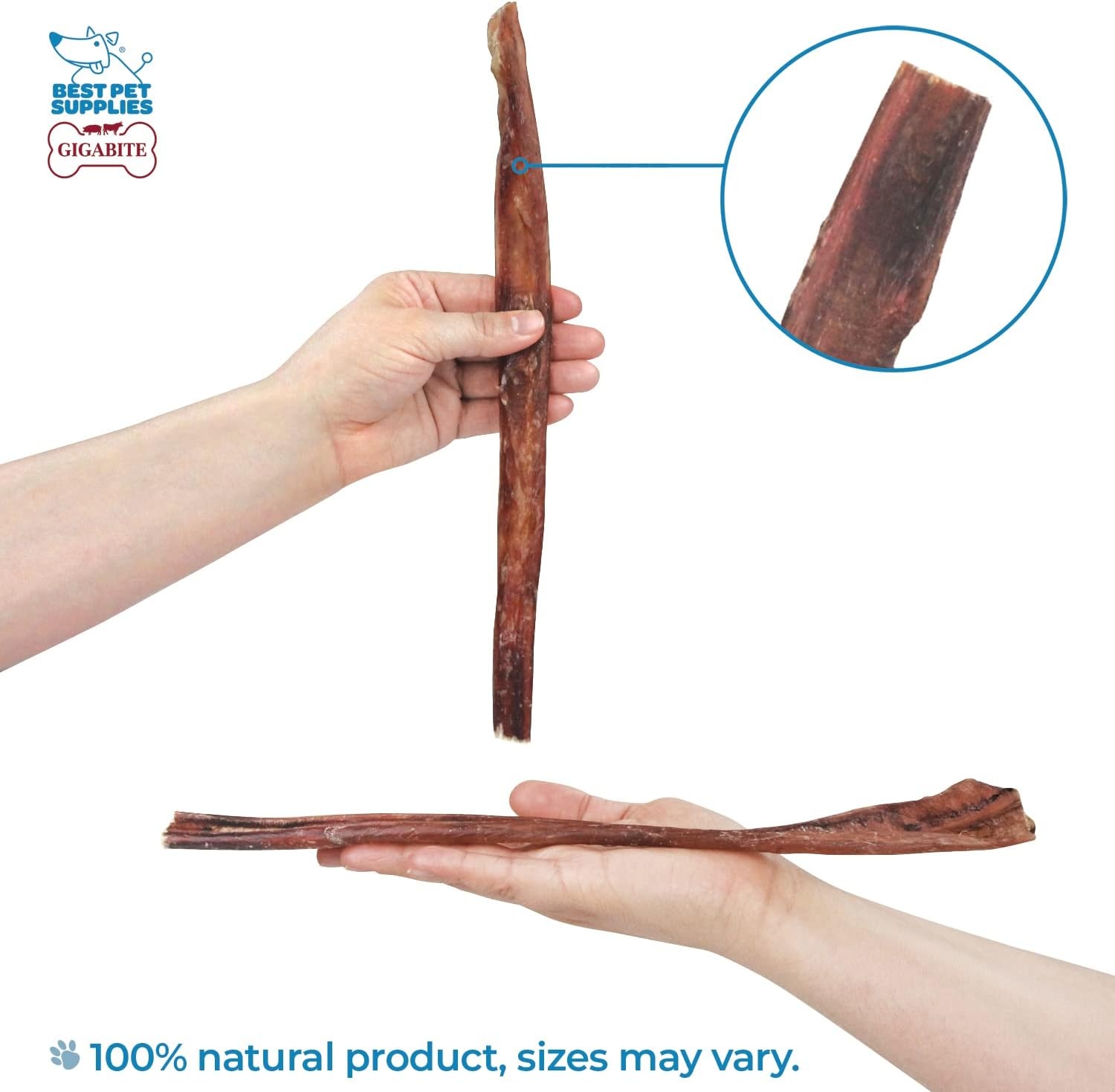 image:imageGigaBite Bully Sticks for Dogs All Natural Beef Pizzle Dog Chews Odor amp Rawhide Free Dog Treats Long Lasting High Protein Chews Digestible Dental Dog Treat Sticks Monstrous 6 Pack of 812inch