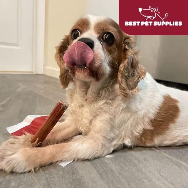 image:imageGigaBite Bully Sticks for Dogs All Natural Beef Pizzle Dog Chews Odor amp Rawhide Free Dog Treats Long Lasting High Protein Chews Digestible Dental Dog Treat Sticks Monstrous 6 Pack of 812inch