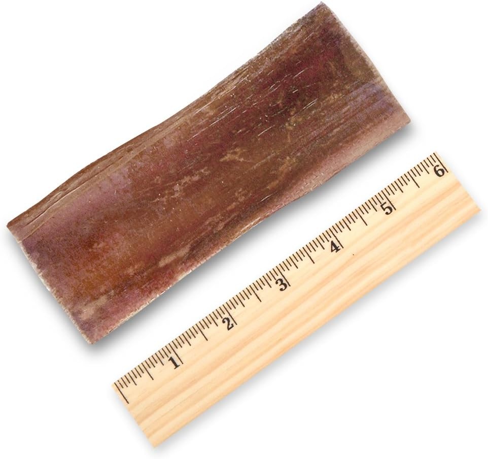 image:imageGigaBite Bully Sticks for Dogs All Natural Beef Pizzle Dog Chews Odor amp Rawhide Free Dog Treats Long Lasting High Protein Chews Digestible Dental Dog Treat Sticks Regular 6 1 PoundEsophagus Strips
