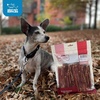 GigaBite Bully Sticks for Dogs All Natural Beef Pizzle Dog Chews, Odor & Rawhide Free Dog Treats, Long Lasting High Protein Chews Digestible Dental Dog Treat – Sticks (Regular 6″), 1 Pound(Bladder Sticks (6″))