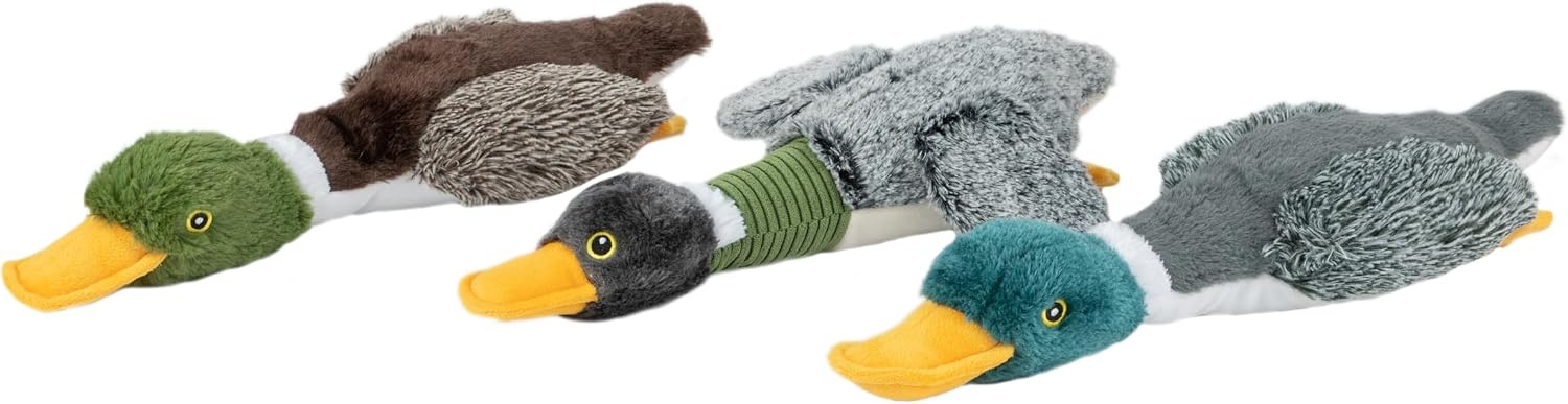 image:imageBest Pet Supplies Interactive Squeaky Dog Chew Toy Ideal Dog Toys for Chewers Small Medium amp Large Dogs and Fetch Lovers Tennis Yellow Medium Pack of 4Mallard Duck Wing Gray