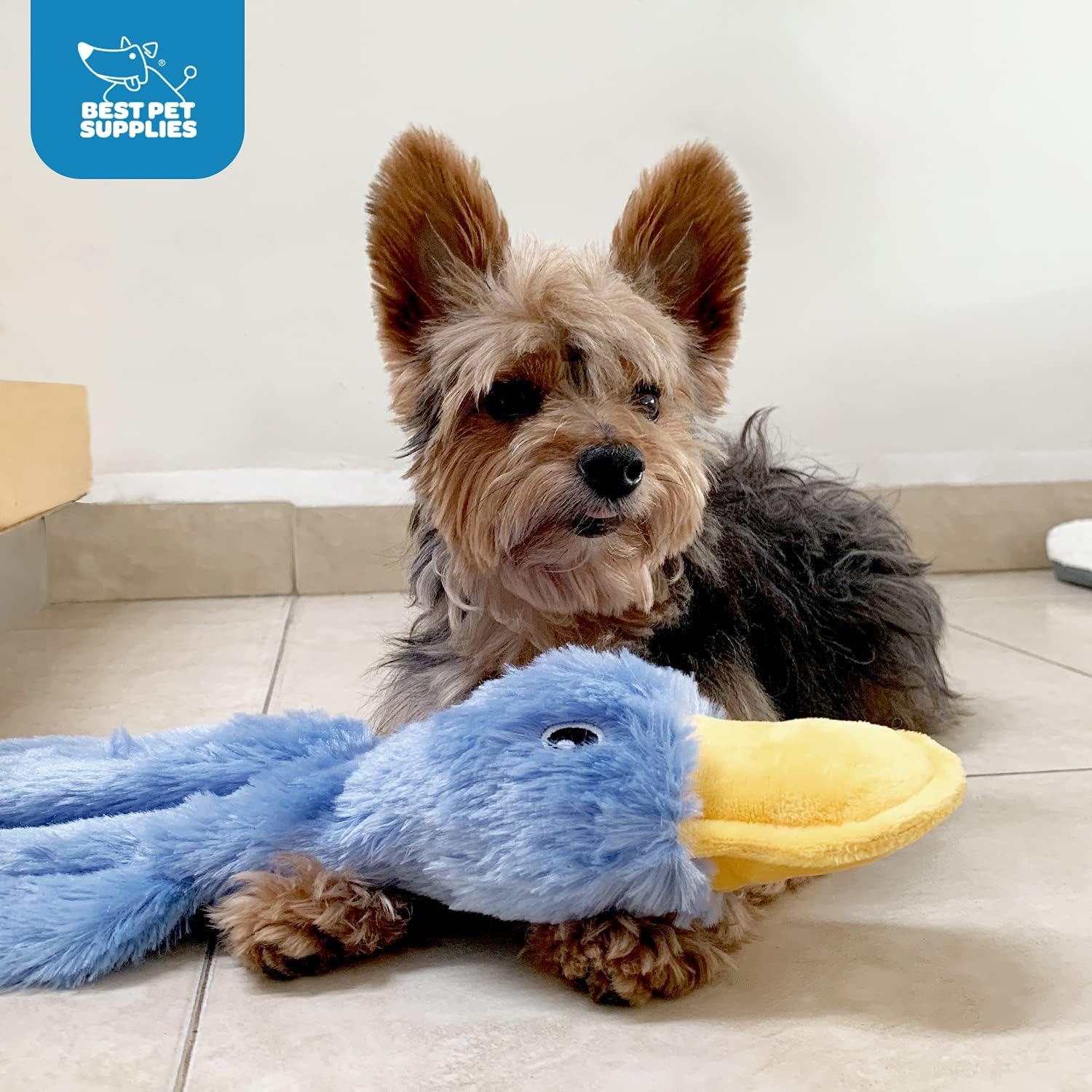 image:imageBest Pet Supplies Interactive Squeaky Dog Chew Toy Ideal Dog Toys for Chewers Small Medium amp Large Dogs and Fetch Lovers Tennis Yellow Medium Pack of 4Crinkle Duck White Yellow Green