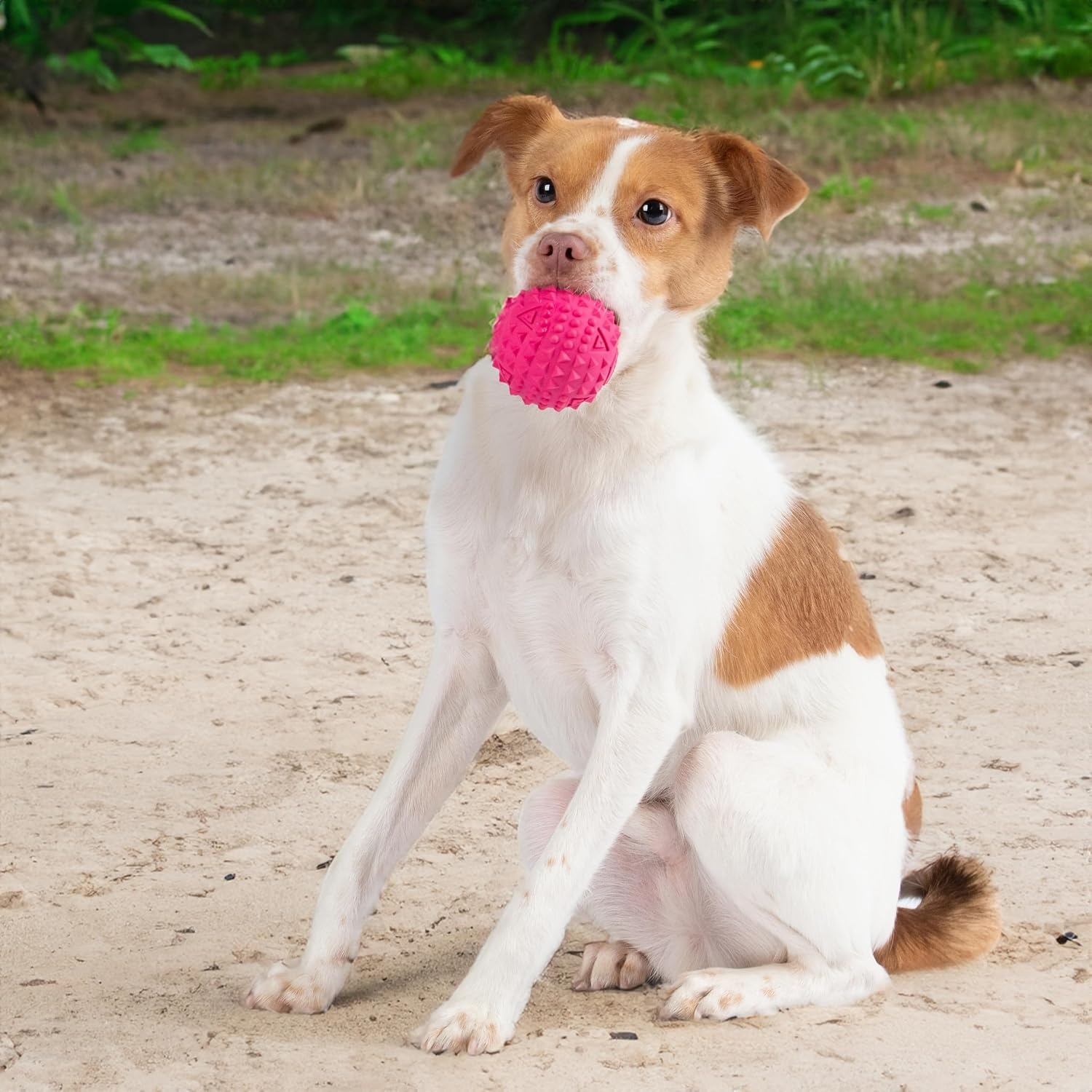 image:imageBest Pet Supplies Squeaky Dog Toys with Soft Durable Fabric for Small Medium and Large Pets Interactive Toy for Indoor Play Supports Active Biting and Play Fuchsia Green MediumFuchsia