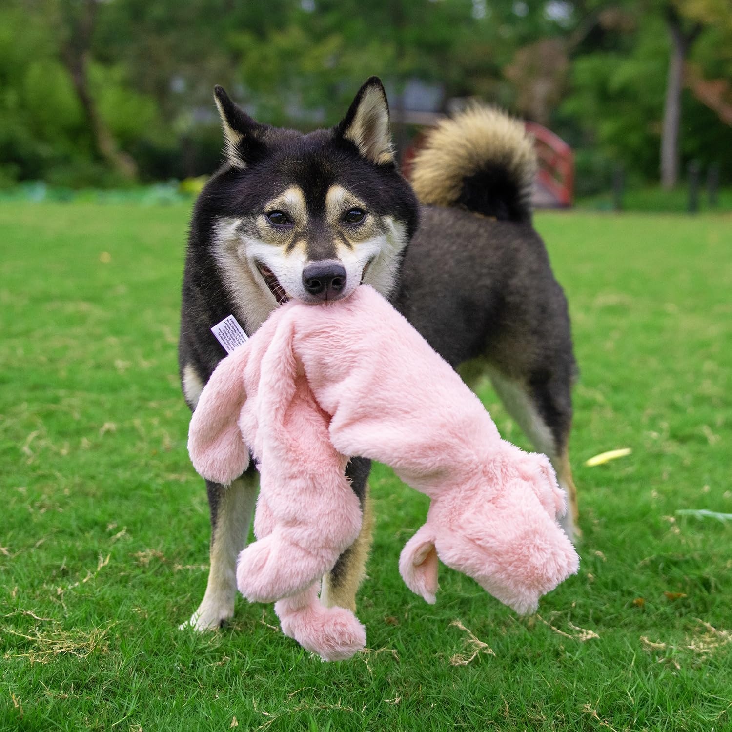 image:imageBest Pet Supplies Squeaky Dog Toys with Soft Durable Fabric for Small Medium and Large Pets Interactive Toy for Indoor Play Supports Active Biting and Play Fuchsia Green MediumMulticolorPig Hare