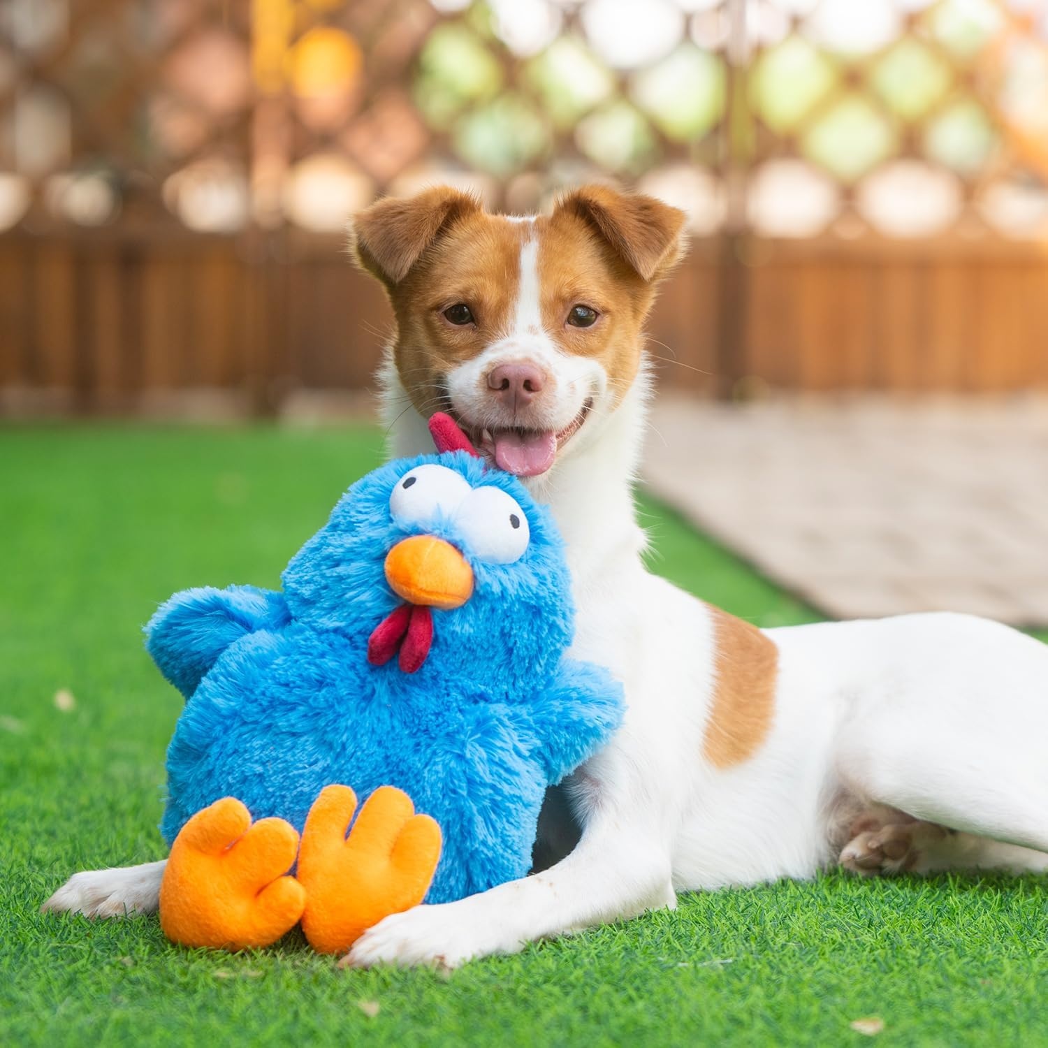 image:imageBest Pet Supplies Squeaky Dog Toys with Soft Durable Fabric for Small Medium and Large Pets Interactive Toy for Indoor Play Supports Active Biting and Play Fuchsia Green MediumMrs Cluck Blue
