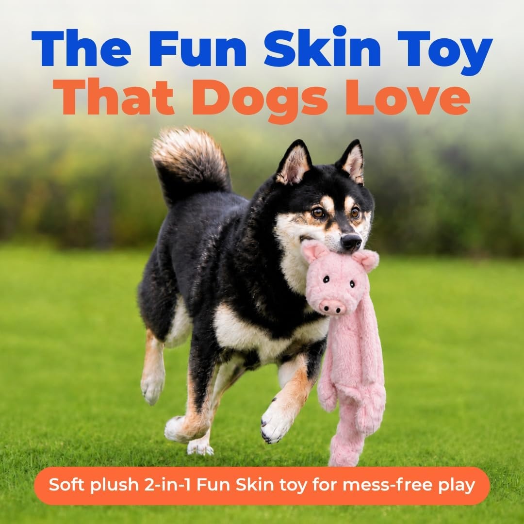 image:imageBest Pet Supplies Squeaky Dog Toys with Soft Durable Fabric for Small Medium and Large Pets Interactive Toy for Indoor Play Supports Active Biting and Play Fuchsia Green MediumPig