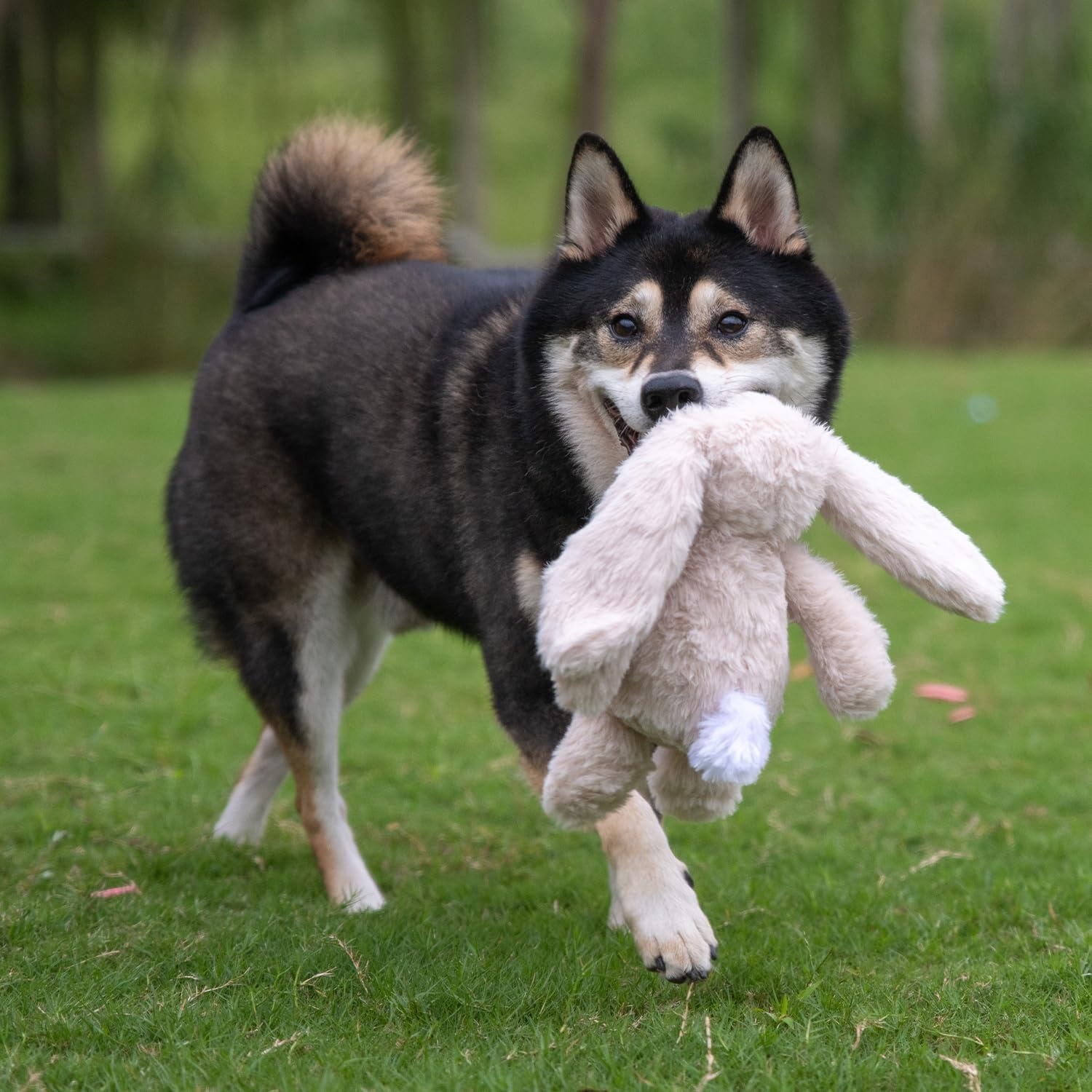 image:imageBest Pet Supplies Squeaky Dog Toys with Soft Durable Fabric for Small Medium and Large Pets Interactive Toy for Indoor Play Supports Active Biting and Play Fuchsia Green MediumBunny Beige