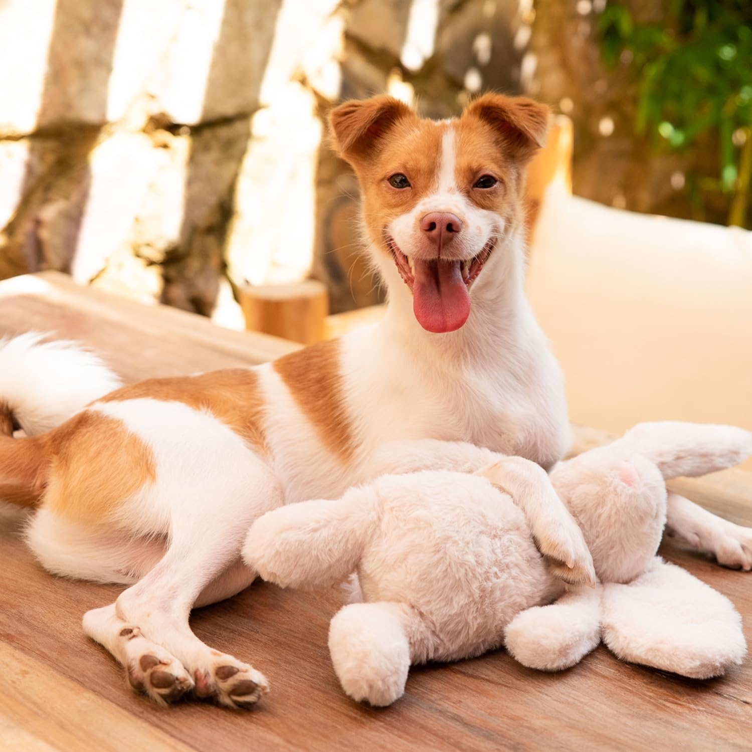 image:imageBest Pet Supplies Squeaky Dog Toys with Soft Durable Fabric for Small Medium and Large Pets Interactive Toy for Indoor Play Supports Active Biting and Play Fuchsia Green MediumBunny Beige