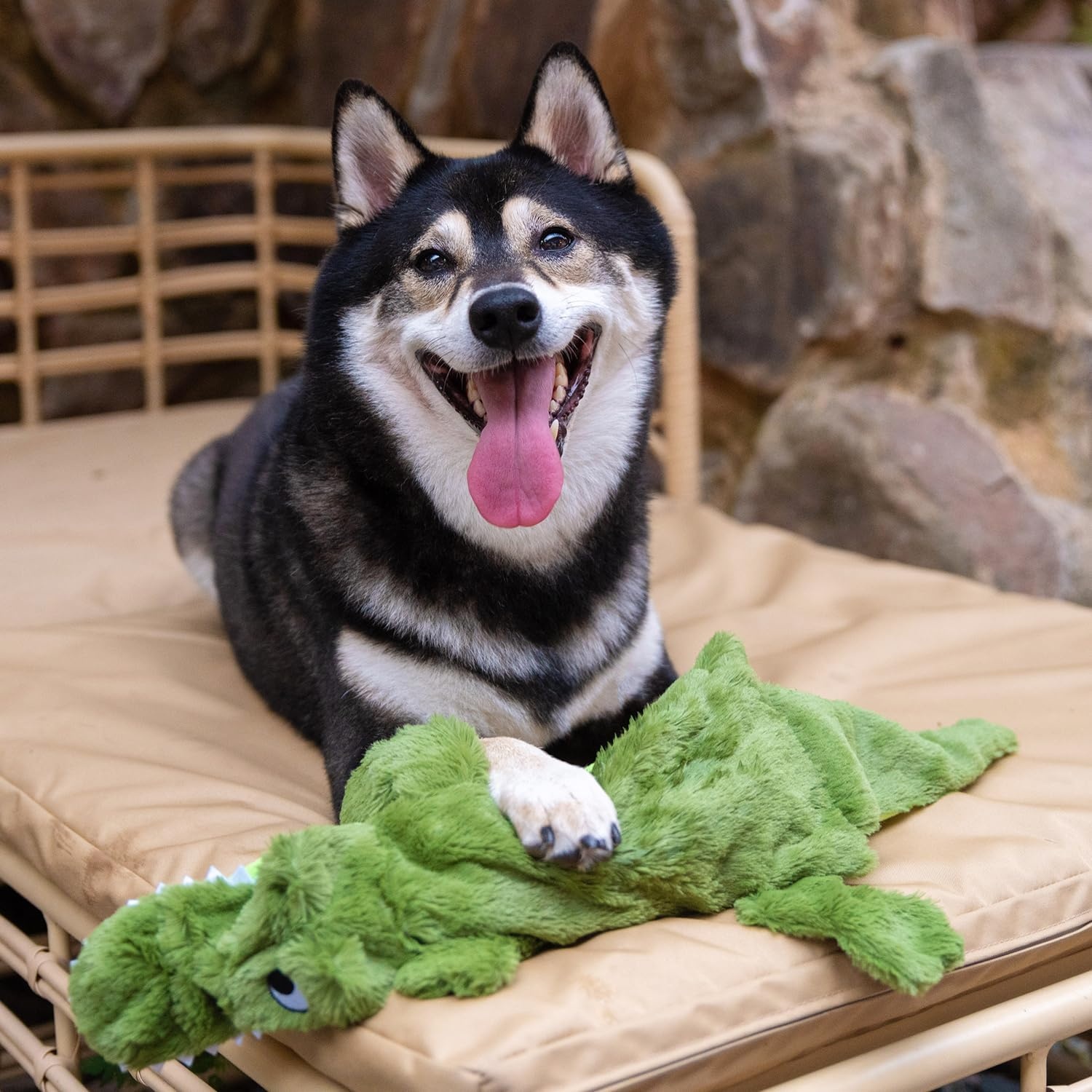 image:imageBest Pet Supplies Squeaky Dog Toys with Soft Durable Fabric for Small Medium and Large Pets Interactive Toy for Indoor Play Supports Active Biting and Play Fuchsia Green MediumWild Duck Hare Squirrel Alligator