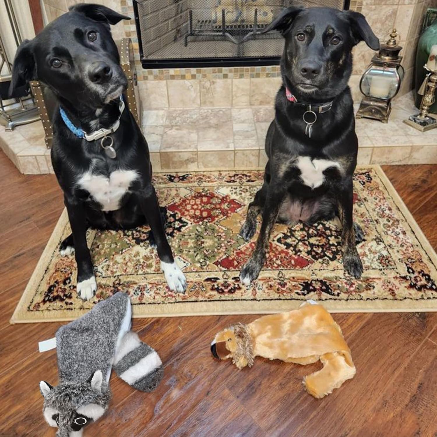 image:imageBest Pet Supplies Squeaky Dog Toys with Soft Durable Fabric for Small Medium and Large Pets Interactive Toy for Indoor Play Supports Active Biting and Play Fuchsia Green MediumGreyRaccoon