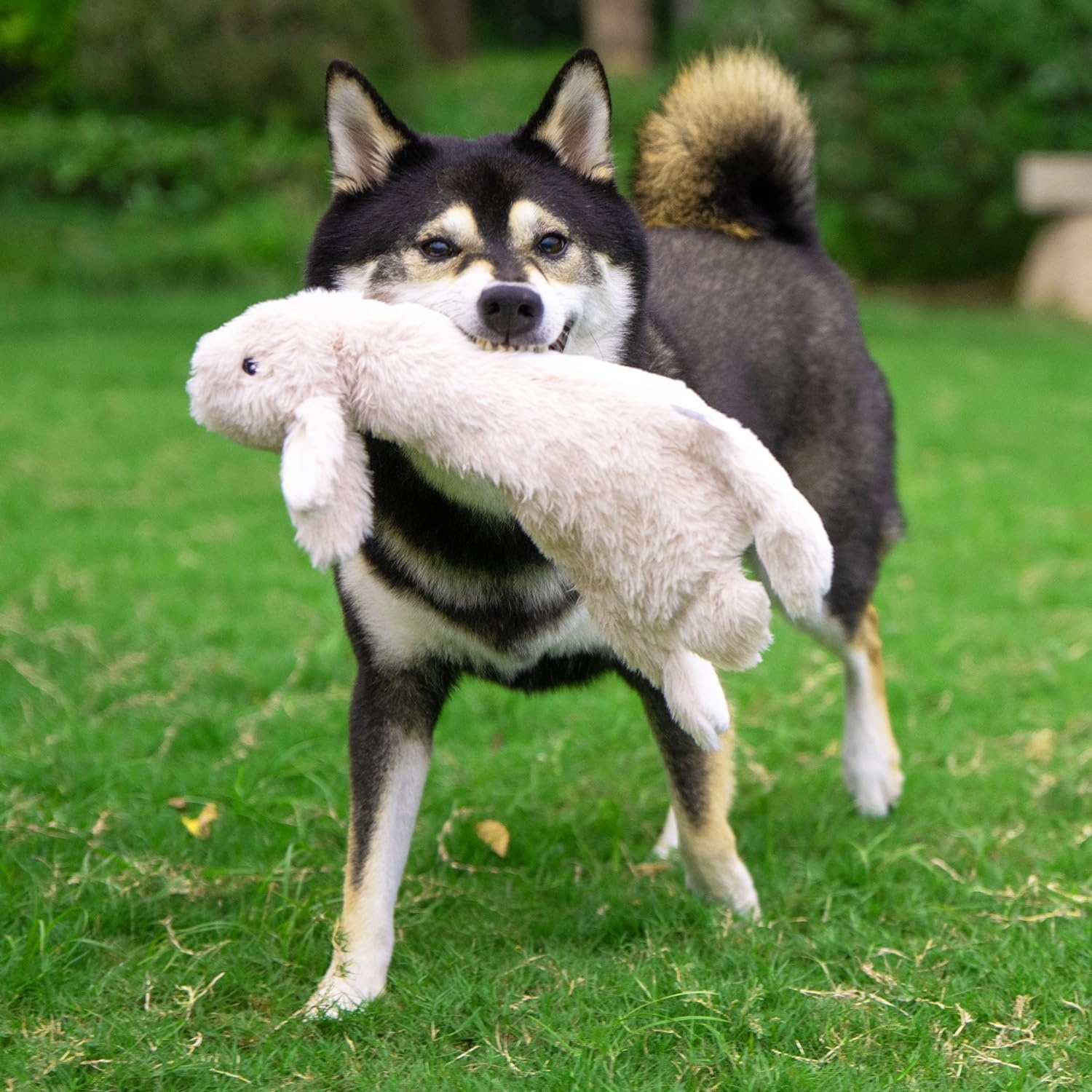 image:imageBest Pet Supplies Squeaky Dog Toys with Soft Durable Fabric for Small Medium and Large Pets Interactive Toy for Indoor Play Supports Active Biting and Play Fuchsia Green MediumBrownHare
