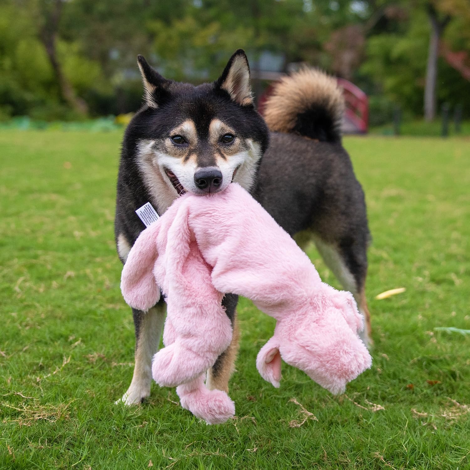 image:imageBest Pet Supplies Squeaky Dog Toys with Soft Durable Fabric for Small Medium and Large Pets Interactive Toy for Indoor Play Supports Active Biting and Play Fuchsia Green MediumPig