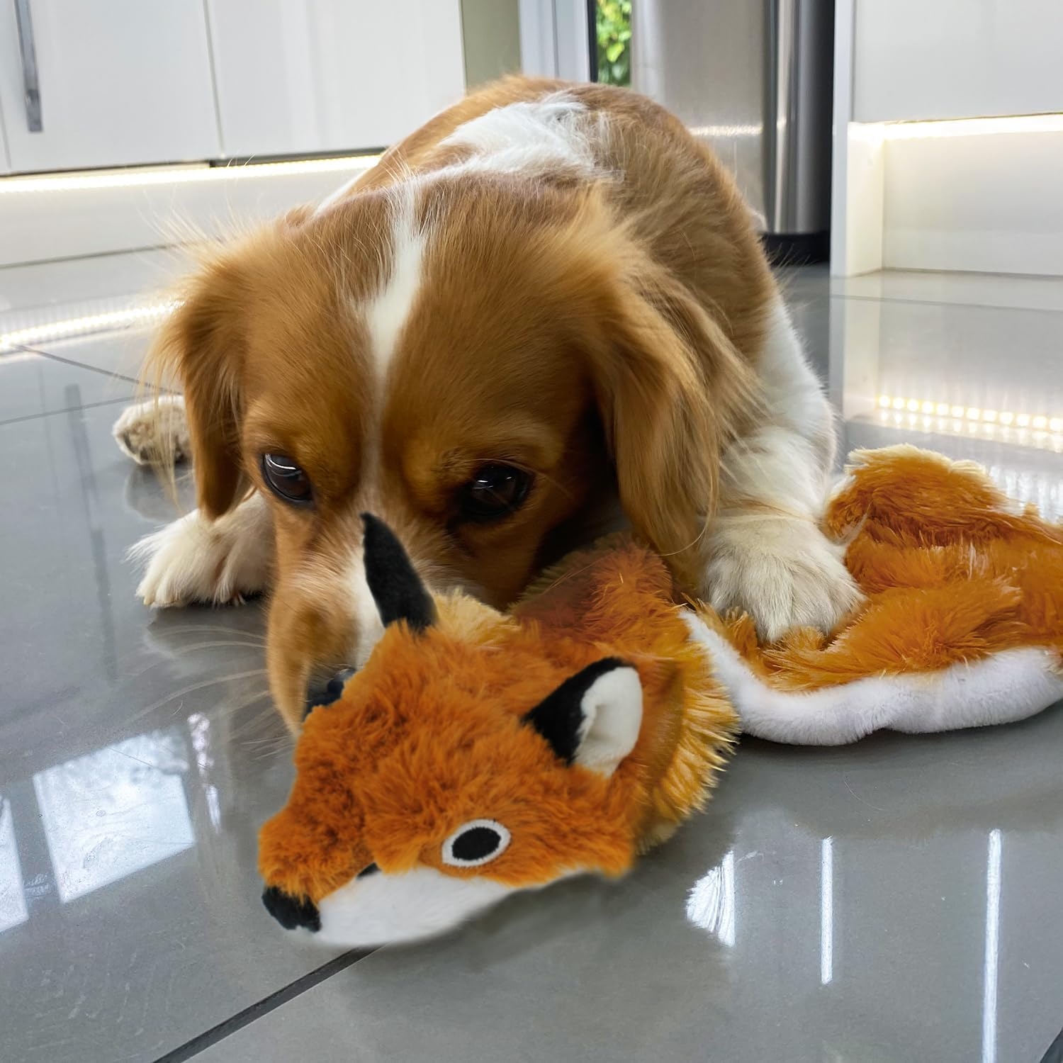 image:imageBest Pet Supplies Squeaky Dog Toys with Soft Durable Fabric for Small Medium and Large Pets Interactive Toy for Indoor Play Supports Active Biting and Play Fuchsia Green MediumBrownFox