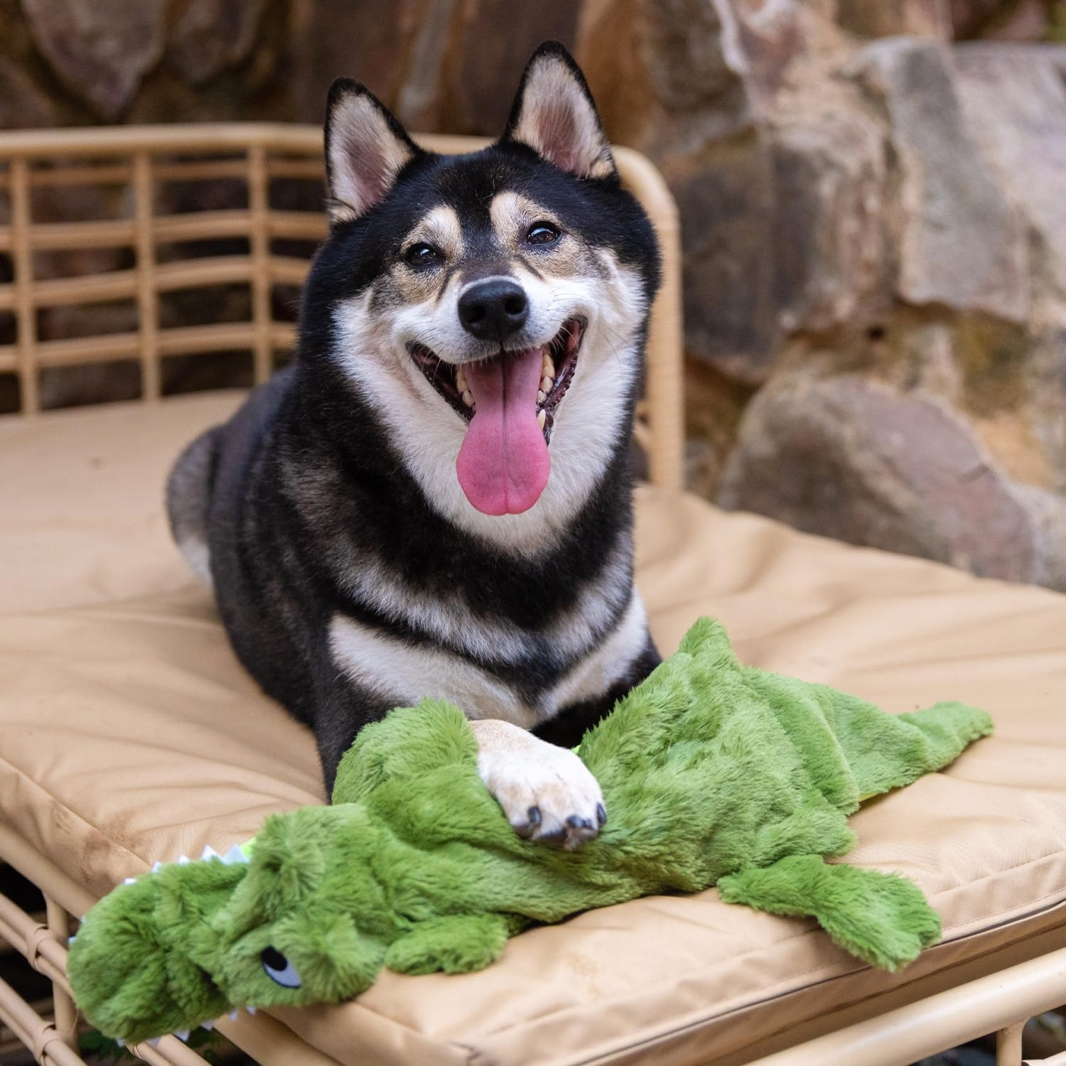 image:imageBest Pet Supplies Squeaky Dog Toys with Soft Durable Fabric for Small Medium and Large Pets Interactive Toy for Indoor Play Supports Active Biting and Play Fuchsia Green MediumMulticolorAlligator Wild Duck