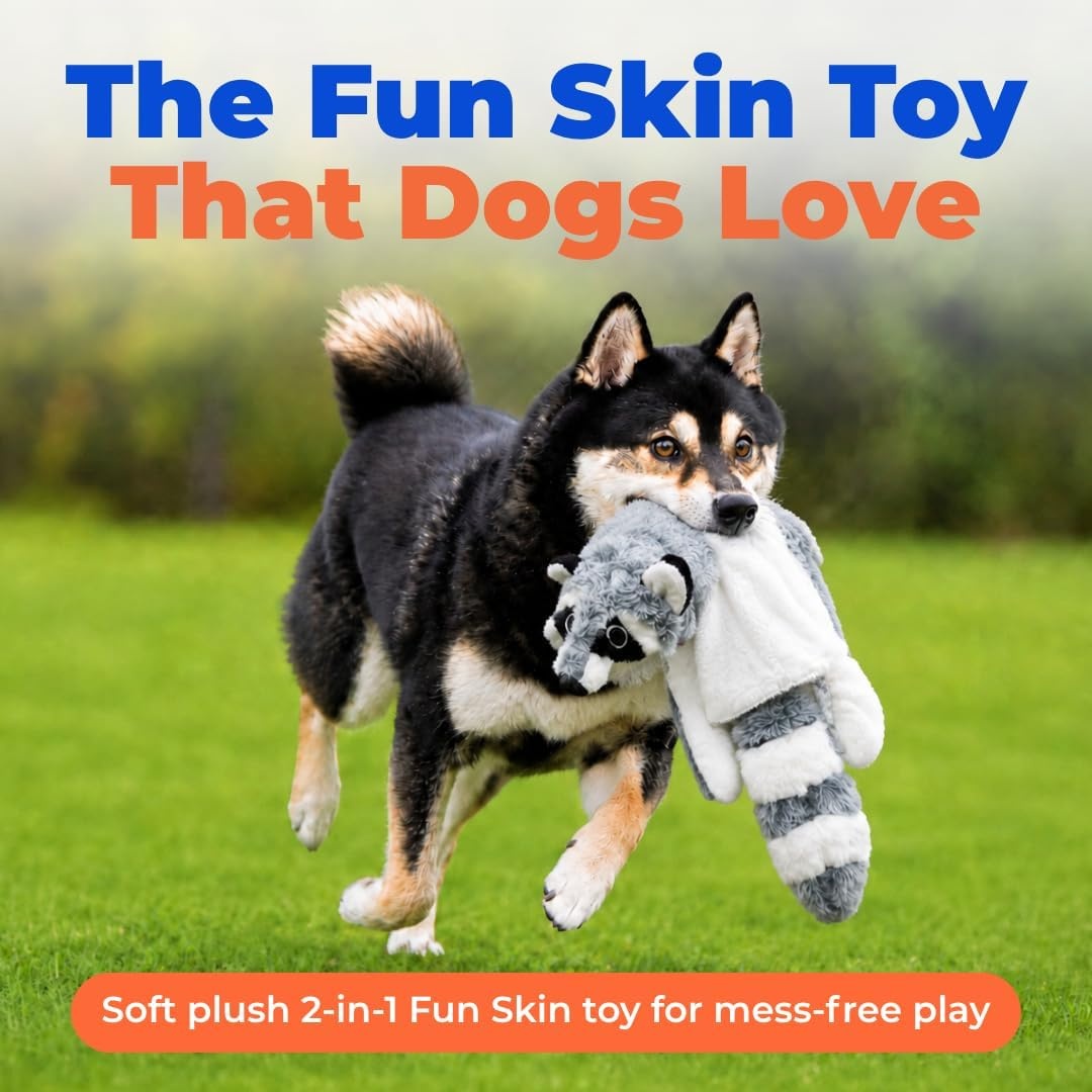 image:imageBest Pet Supplies Squeaky Dog Toys with Soft Durable Fabric for Small Medium and Large Pets Interactive Toy for Indoor Play Supports Active Biting and Play Fuchsia Green MediumGreyRaccoon