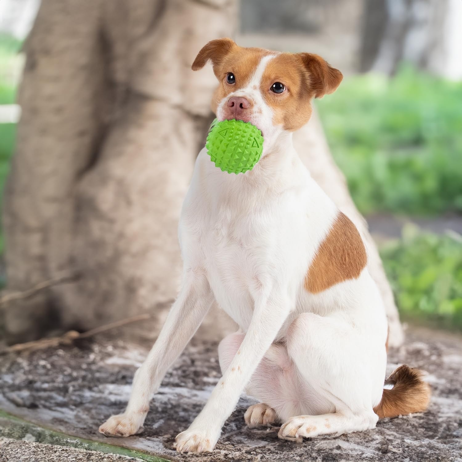 image:imageBest Pet Supplies Squeaky Dog Toys with Soft Durable Fabric for Small Medium and Large Pets Interactive Toy for Indoor Play Supports Active Biting and Play Fuchsia Green MediumGreen