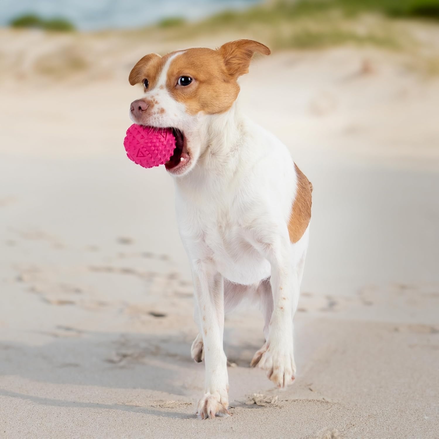 image:imageBest Pet Supplies Squeaky Dog Toys with Soft Durable Fabric for Small Medium and Large Pets Interactive Toy for Indoor Play Supports Active Biting and Play Fuchsia Green MediumFuchsia Green