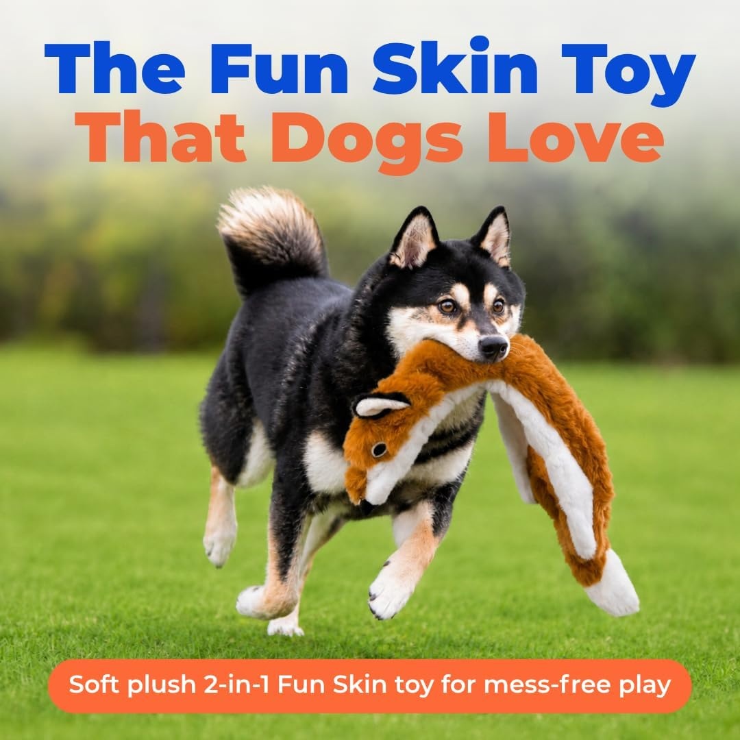 image:imageBest Pet Supplies Squeaky Dog Toys with Soft Durable Fabric for Small Medium and Large Pets Interactive Toy for Indoor Play Supports Active Biting and Play Fuchsia Green MediumBrownFox