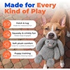Best Pet Supplies Interactive Squeaky Dog Chew Toy, Ideal Dog Toys for Chewers, Small, Medium & Large Dogs, and Fetch Lovers – Tennis (Yellow), Medium (Pack of 4)(Bunny (Gray))