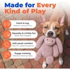 Best Pet Supplies Interactive Squeaky Dog Chew Toy, Ideal Dog Toys for Chewers, Small, Medium & Large Dogs, and Fetch Lovers – Tennis (Yellow), Medium (Pack of 4)(Bunny (Mauve))