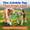 Best Pet Supplies Interactive Squeaky Dog Chew Toy, Ideal Dog Toys for Chewers, Small, Medium & Large Dogs, and Fetch Lovers – Tennis (Yellow), Medium (Pack of 4)(aCrinkle Duck (Light Green))