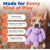 Best Pet Supplies Interactive Squeaky Dog Chew Toy, Ideal Dog Toys for Chewers, Small, Medium & Large Dogs, and Fetch Lovers – Tennis (Yellow), Medium (Pack of 4)(Bunny (Purple))