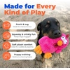 Best Pet Supplies Interactive Squeaky Dog Chew Toy, Ideal Dog Toys for Chewers, Small, Medium & Large Dogs, and Fetch Lovers – Tennis (Yellow), Medium (Pack of 4)(Mrs. Cluck (Fuchsia))