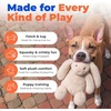 Best Pet Supplies Interactive Squeaky Dog Chew Toy, Ideal Dog Toys for Chewers, Small, Medium & Large Dogs, and Fetch Lovers – Tennis (Yellow), Medium (Pack of 4)(Bunny (Beige))