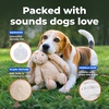 Best Pet Supplies Interactive Squeaky Dog Chew Toy, Ideal Dog Toys for Chewers, Small, Medium & Large Dogs, and Fetch Lovers – Tennis (Yellow), Medium (Pack of 4)(Bunny (Beige))