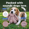 Best Pet Supplies Interactive Squeaky Dog Chew Toy, Ideal Dog Toys for Chewers, Small, Medium & Large Dogs, and Fetch Lovers – Tennis (Yellow), Medium (Pack of 4)(Bunny (Mauve))
