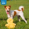 Best Pet Supplies Interactive Squeaky Dog Chew Toy, Ideal Dog Toys for Chewers, Small, Medium & Large Dogs, and Fetch Lovers – Tennis (Yellow), Medium (Pack of 4)(Crinkle Chicken (Yellow))