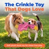 Best Pet Supplies Interactive Squeaky Dog Chew Toy, Ideal Dog Toys for Chewers, Small, Medium & Large Dogs, and Fetch Lovers – Tennis (Yellow), Medium (Pack of 4)(Crinkle Duck (Light Pink))