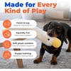 Best Pet Supplies Interactive Squeaky Dog Chew Toy, Ideal Dog Toys for Chewers, Small, Medium & Large Dogs, and Fetch Lovers – Tennis (Yellow), Medium (Pack of 4)(Crinkle Duck (White))