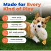 Best Pet Supplies Interactive Squeaky Dog Chew Toy, Ideal Dog Toys for Chewers, Small, Medium & Large Dogs, and Fetch Lovers – Tennis (Yellow), Medium (Pack of 4)(Crinkle Chicken (Beige))