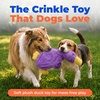 Best Pet Supplies Interactive Squeaky Dog Chew Toy, Ideal Dog Toys for Chewers, Small, Medium & Large Dogs, and Fetch Lovers – Tennis (Yellow), Medium (Pack of 4)(aCrinkle Duck (Light Purple))