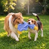 Best Pet Supplies Interactive Squeaky Dog Chew Toy, Ideal Dog Toys for Chewers, Small, Medium & Large Dogs, and Fetch Lovers – Tennis (Yellow), Medium (Pack of 4)(Crinkle Duck (Blue))