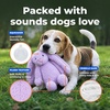 Best Pet Supplies Interactive Squeaky Dog Chew Toy, Ideal Dog Toys for Chewers, Small, Medium & Large Dogs, and Fetch Lovers – Tennis (Yellow), Medium (Pack of 4)(Bunny (Purple))