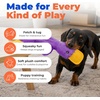 Best Pet Supplies Interactive Squeaky Dog Chew Toy, Ideal Dog Toys for Chewers, Small, Medium & Large Dogs, and Fetch Lovers – Tennis (Yellow), Medium (Pack of 4)(aCrinkle Duck (Light Purple))