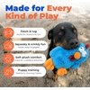 Best Pet Supplies Interactive Squeaky Dog Chew Toy, Ideal Dog Toys for Chewers, Small, Medium & Large Dogs, and Fetch Lovers – Tennis (Yellow), Medium (Pack of 4)(Mrs. Cluck (Blue))
