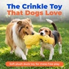 Best Pet Supplies Interactive Squeaky Dog Chew Toy, Ideal Dog Toys for Chewers, Small, Medium & Large Dogs, and Fetch Lovers – Tennis (Yellow), Medium (Pack of 4)(Crinkle Duck (Yellow))