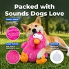 Best Pet Supplies Interactive Squeaky Dog Chew Toy, Ideal Dog Toys for Chewers, Small, Medium & Large Dogs, and Fetch Lovers – Tennis (Yellow), Medium (Pack of 4)(Mrs. Cluck (Fuchsia))