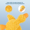 Best Pet Supplies Interactive Squeaky Dog Chew Toy, Ideal Dog Toys for Chewers, Small, Medium & Large Dogs, and Fetch Lovers – Tennis (Yellow), Medium (Pack of 4)(Ducky Doodle (Yellow))