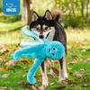 Best Pet Supplies Interactive Squeaky Dog Chew Toy, Ideal Dog Toys for Chewers, Small, Medium & Large Dogs, and Fetch Lovers – Tennis (Yellow), Medium (Pack of 4)(Octomutant (Turquoise))