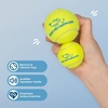 Best Pet Supplies Interactive Squeaky Dog Chew Toy, Ideal Dog Toys for Chewers, Small, Medium & Large Dogs, and Fetch Lovers – Tennis (Yellow), Medium (Pack of 4)(Tennis (Yellow))