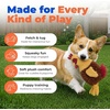 Best Pet Supplies Interactive Squeaky Dog Chew Toy, Ideal Dog Toys for Chewers, Small, Medium & Large Dogs, and Fetch Lovers – Tennis (Yellow), Medium (Pack of 4)(Crinkle Chicken (Wine Red))