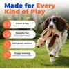 Best Pet Supplies Squeaky Dog Toys with Soft Durable Fabric for Small, Medium and Large Pets Interactive Toy for Indoor Play, Supports Active Biting and Play – Fuchsia, Green, Medium(Brown Snow Leopard)
