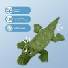 Best Pet Supplies Squeaky Dog Toys with Soft Durable Fabric for Small, Medium and Large Pets Interactive Toy for Indoor Play, Supports Active Biting and Play – Fuchsia, Green, Medium(Green/Alligator)