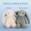 Best Pet Supplies Squeaky Dog Toys with Soft Durable Fabric for Small, Medium and Large Pets Interactive Toy for Indoor Play, Supports Active Biting and Play – Fuchsia, Green, Medium(Bunny (Beige))