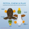 Best Pet Supplies Squeaky Dog Toys with Soft Durable Fabric for Small, Medium and Large Pets Interactive Toy for Indoor Play, Supports Active Biting and Play – Fuchsia, Green, Medium(Brown/Wild Duck)